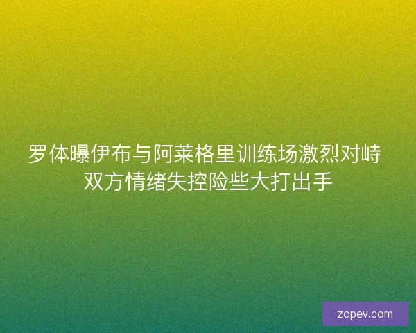 罗体曝伊布与阿莱格里训练场激烈对峙 双方情绪失控险些大打出手
